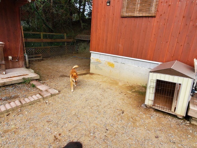f:id:roukenhome-ann:20191007185328j:plain f:id:roukenhome-ann:20191007185328j:plain