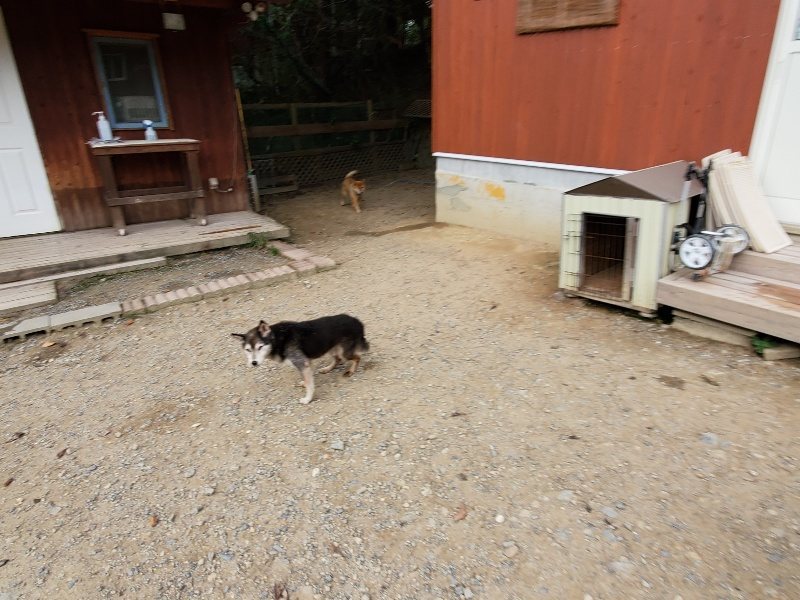 f:id:roukenhome-ann:20191007185340j:plain f:id:roukenhome-ann:20191007185340j:plain