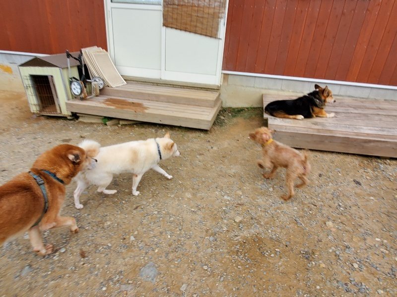 f:id:roukenhome-ann:20191007185348j:plain f:id:roukenhome-ann:20191007185348j:plain