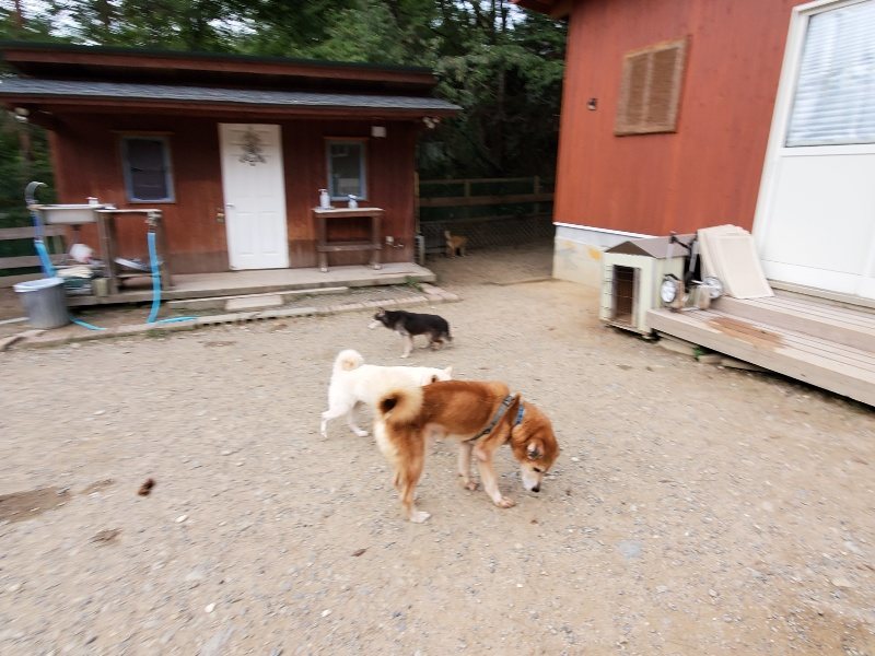 f:id:roukenhome-ann:20191007185354j:plain f:id:roukenhome-ann:20191007185354j:plain