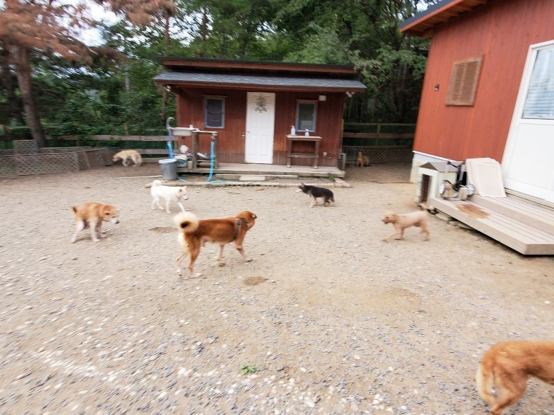 f:id:roukenhome-ann:20191007185402j:plain f:id:roukenhome-ann:20191007185402j:plain