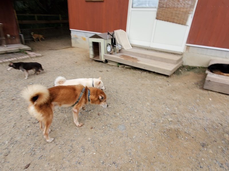 f:id:roukenhome-ann:20191007185407j:plain f:id:roukenhome-ann:20191007185407j:plain