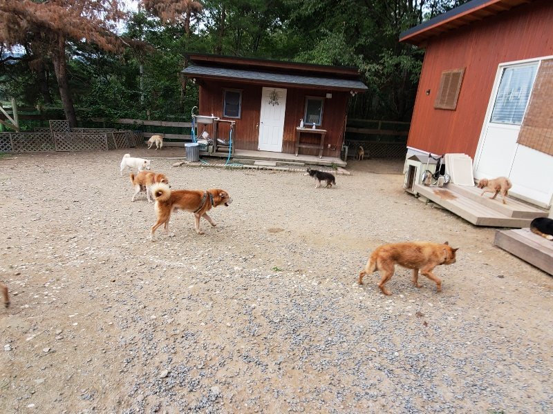 f:id:roukenhome-ann:20191007185423j:plain f:id:roukenhome-ann:20191007185423j:plain