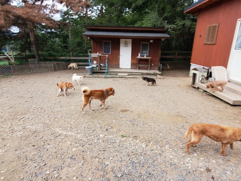 f:id:roukenhome-ann:20191007185431j:plain f:id:roukenhome-ann:20191007185431j:plain