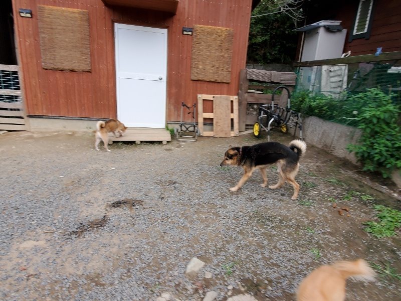 f:id:roukenhome-ann:20191007185439j:plain f:id:roukenhome-ann:20191007185439j:plain