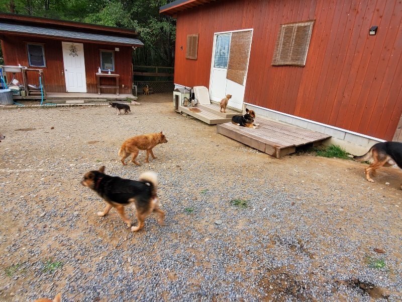 f:id:roukenhome-ann:20191007185447j:plain f:id:roukenhome-ann:20191007185447j:plain