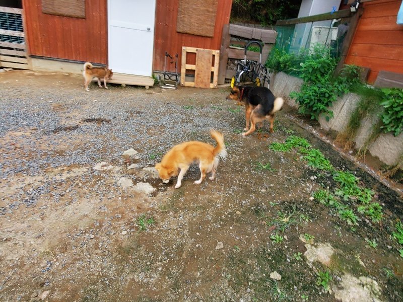 f:id:roukenhome-ann:20191007185455j:plain f:id:roukenhome-ann:20191007185455j:plain