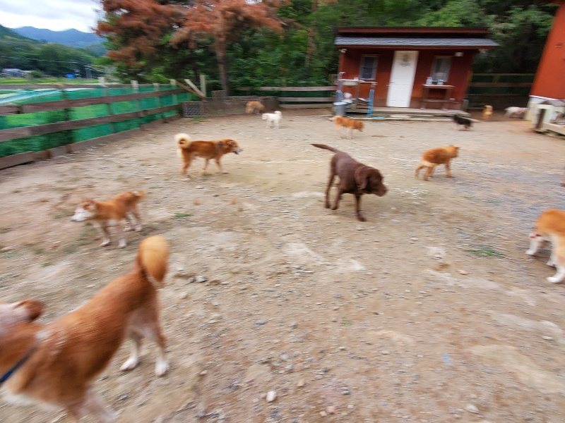 f:id:roukenhome-ann:20191007185502j:plain f:id:roukenhome-ann:20191007185502j:plain