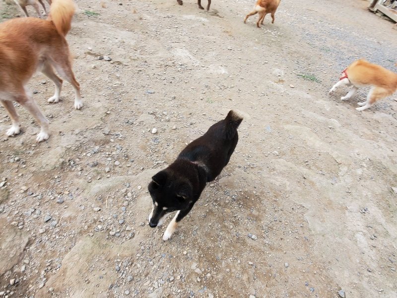 f:id:roukenhome-ann:20191007185514j:plain f:id:roukenhome-ann:20191007185514j:plain