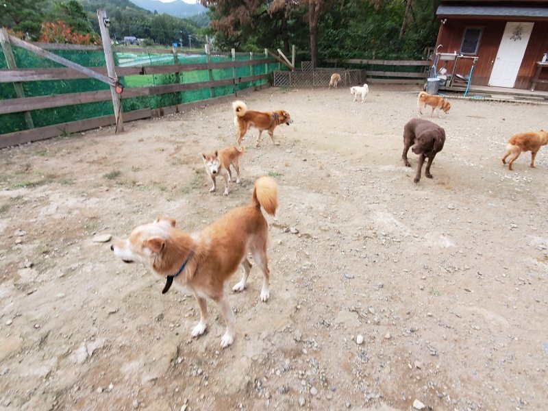 f:id:roukenhome-ann:20191007185522j:plain f:id:roukenhome-ann:20191007185522j:plain