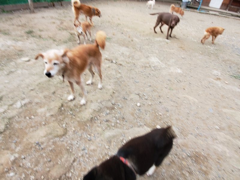 f:id:roukenhome-ann:20191007185528j:plain f:id:roukenhome-ann:20191007185528j:plain
