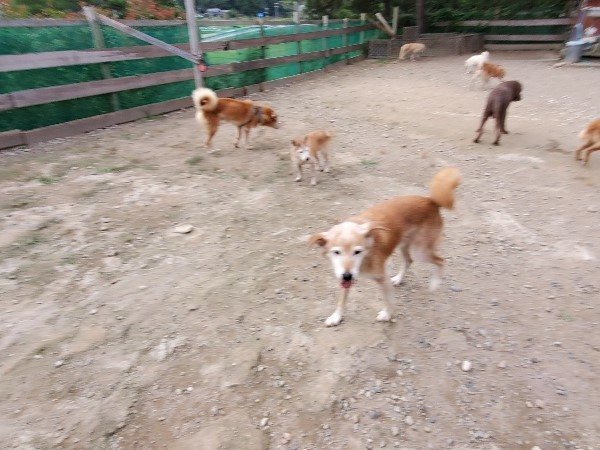 f:id:roukenhome-ann:20191007185533j:plain f:id:roukenhome-ann:20191007185533j:plain