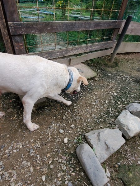 f:id:roukenhome-ann:20191007185547j:plain f:id:roukenhome-ann:20191007185547j:plain