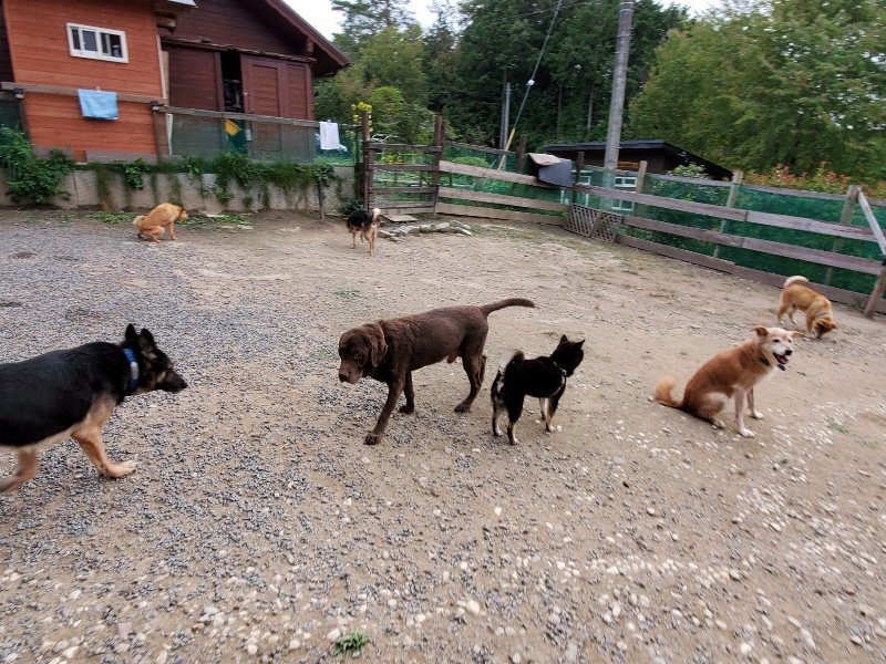 f:id:roukenhome-ann:20191007191126j:plain f:id:roukenhome-ann:20191007191126j:plain
