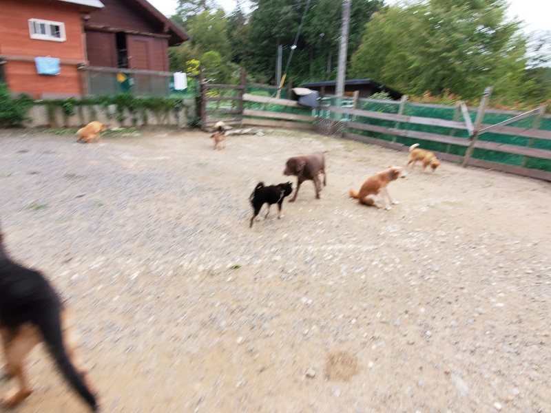 f:id:roukenhome-ann:20191007191139j:plain f:id:roukenhome-ann:20191007191139j:plain