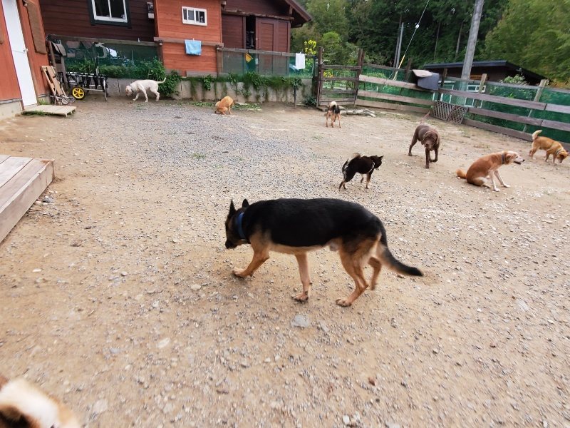 f:id:roukenhome-ann:20191007191155j:plain f:id:roukenhome-ann:20191007191155j:plain