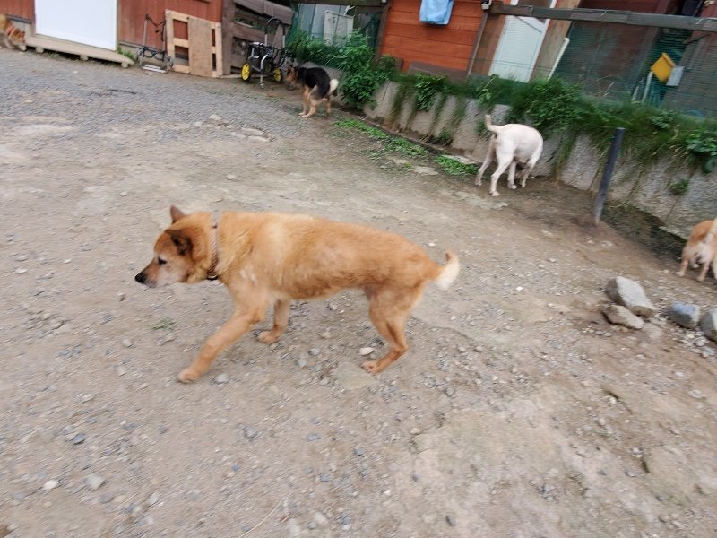 f:id:roukenhome-ann:20191007191226j:plain f:id:roukenhome-ann:20191007191226j:plain
