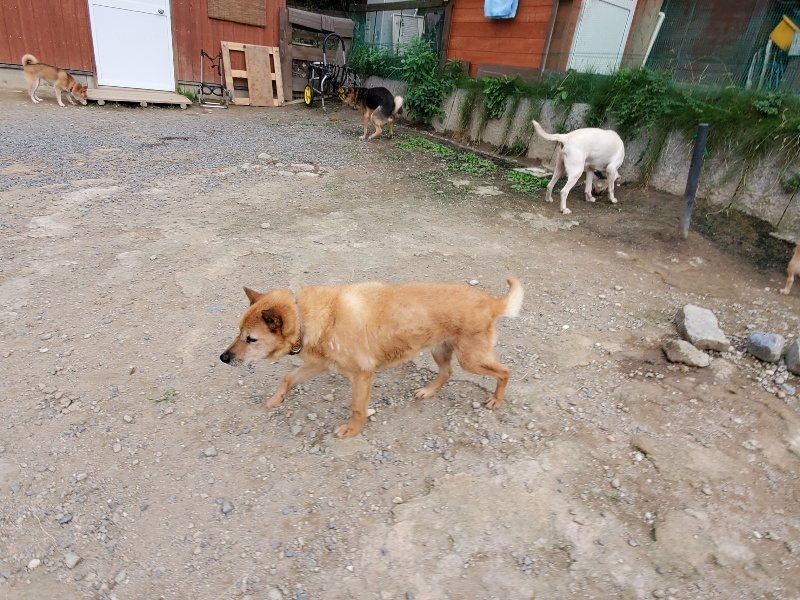 f:id:roukenhome-ann:20191007191245j:plain f:id:roukenhome-ann:20191007191245j:plain