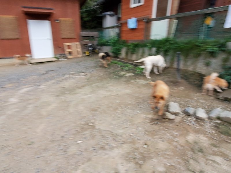 f:id:roukenhome-ann:20191007191255j:plain f:id:roukenhome-ann:20191007191255j:plain