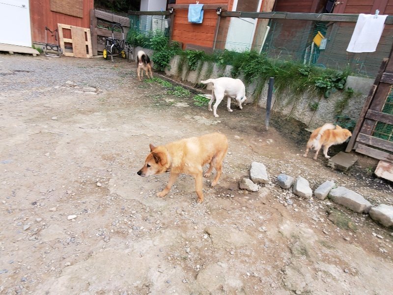 f:id:roukenhome-ann:20191007191302j:plain f:id:roukenhome-ann:20191007191302j:plain