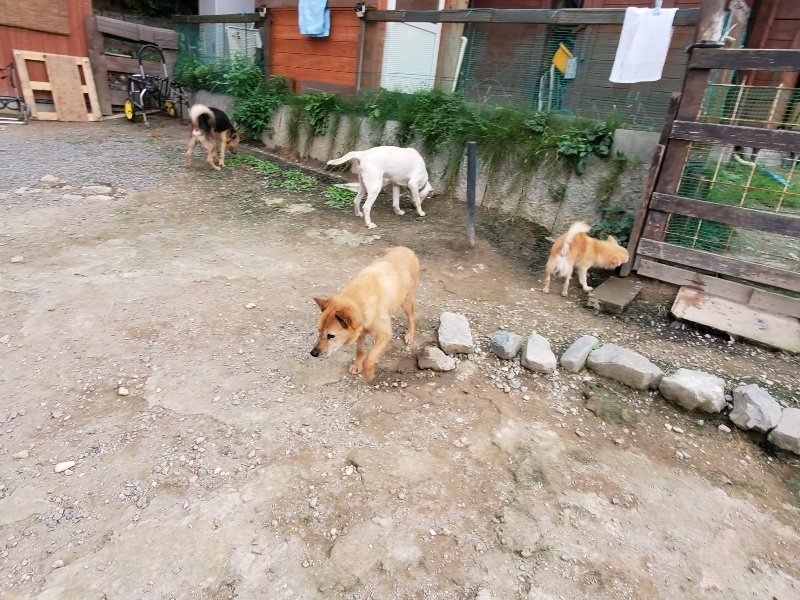 f:id:roukenhome-ann:20191007191317j:plain f:id:roukenhome-ann:20191007191317j:plain