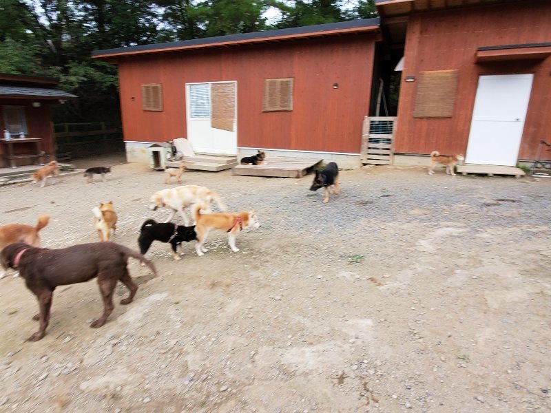 f:id:roukenhome-ann:20191007191325j:plain f:id:roukenhome-ann:20191007191325j:plain