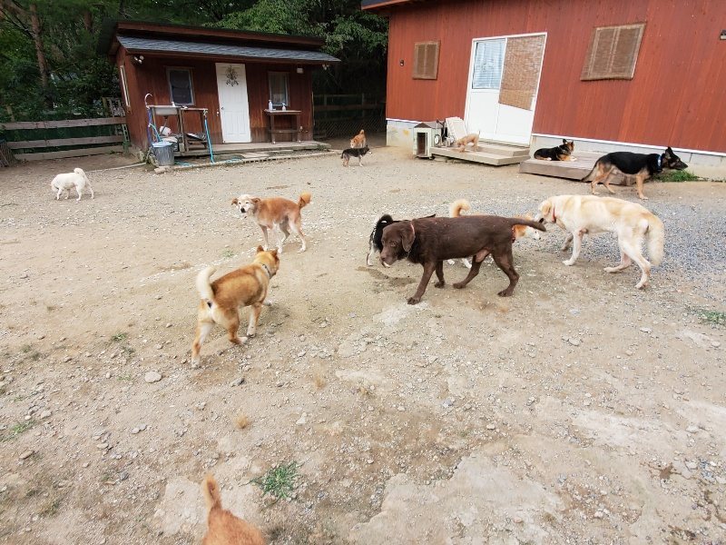 f:id:roukenhome-ann:20191007191340j:plain f:id:roukenhome-ann:20191007191340j:plain