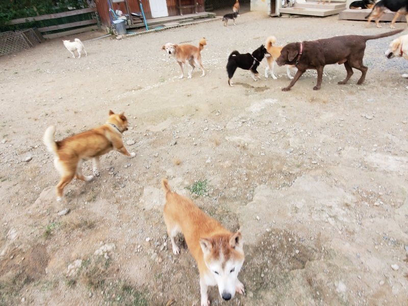 f:id:roukenhome-ann:20191007191411j:plain f:id:roukenhome-ann:20191007191411j:plain