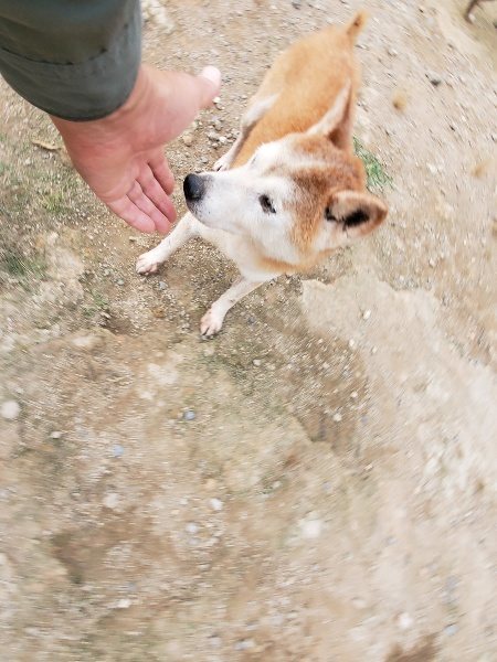 f:id:roukenhome-ann:20191007191416j:plain f:id:roukenhome-ann:20191007191416j:plain