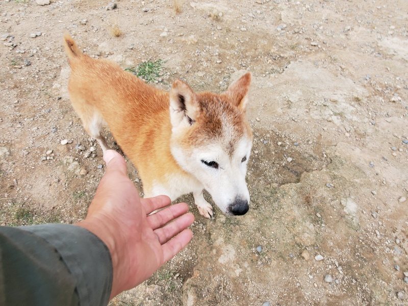 f:id:roukenhome-ann:20191007191430j:plain f:id:roukenhome-ann:20191007191430j:plain