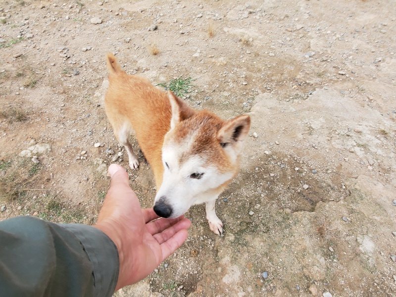 f:id:roukenhome-ann:20191007191439j:plain f:id:roukenhome-ann:20191007191439j:plain