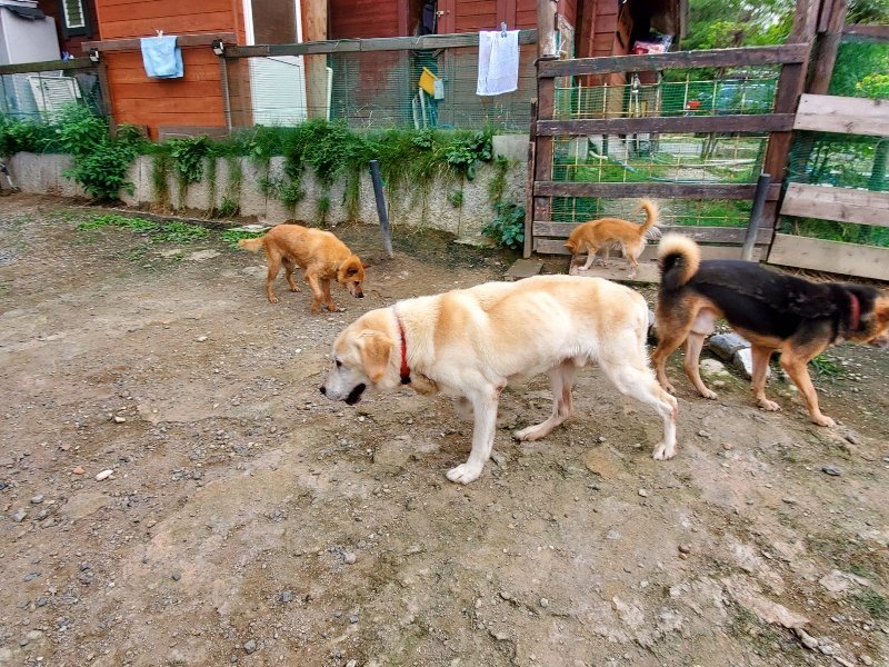 f:id:roukenhome-ann:20191007191509j:plain f:id:roukenhome-ann:20191007191509j:plain