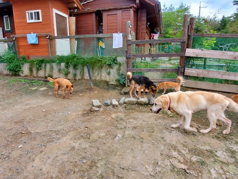 f:id:roukenhome-ann:20191007191533j:plain f:id:roukenhome-ann:20191007191533j:plain