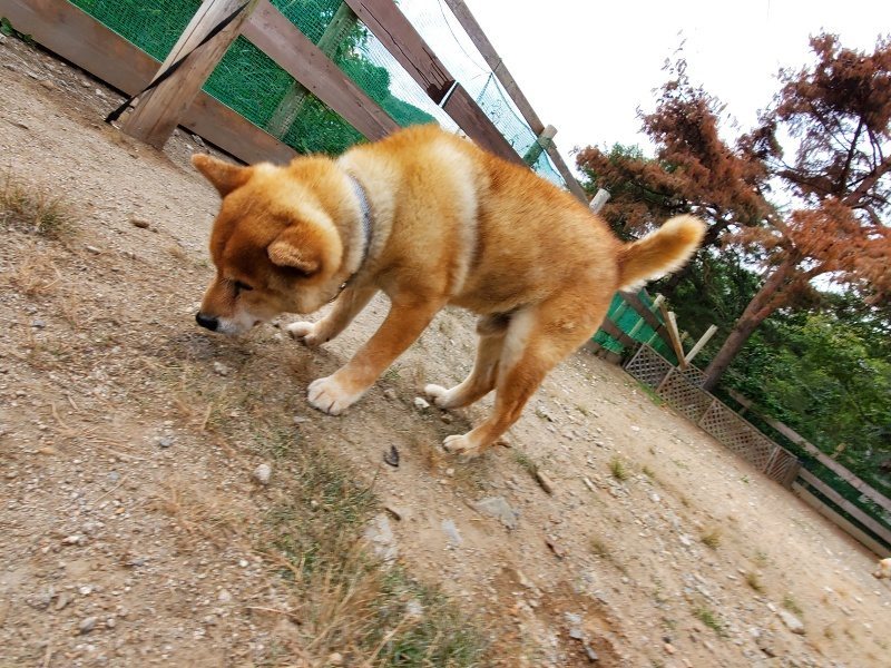 f:id:roukenhome-ann:20191007191549j:plain f:id:roukenhome-ann:20191007191549j:plain