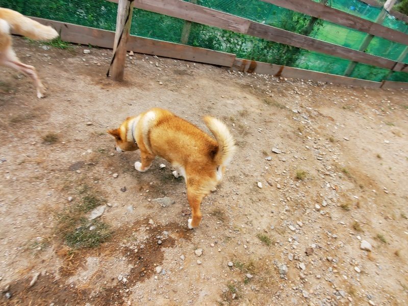 f:id:roukenhome-ann:20191007191559j:plain f:id:roukenhome-ann:20191007191559j:plain