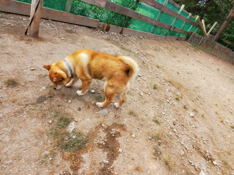 f:id:roukenhome-ann:20191007191610j:plain f:id:roukenhome-ann:20191007191610j:plain