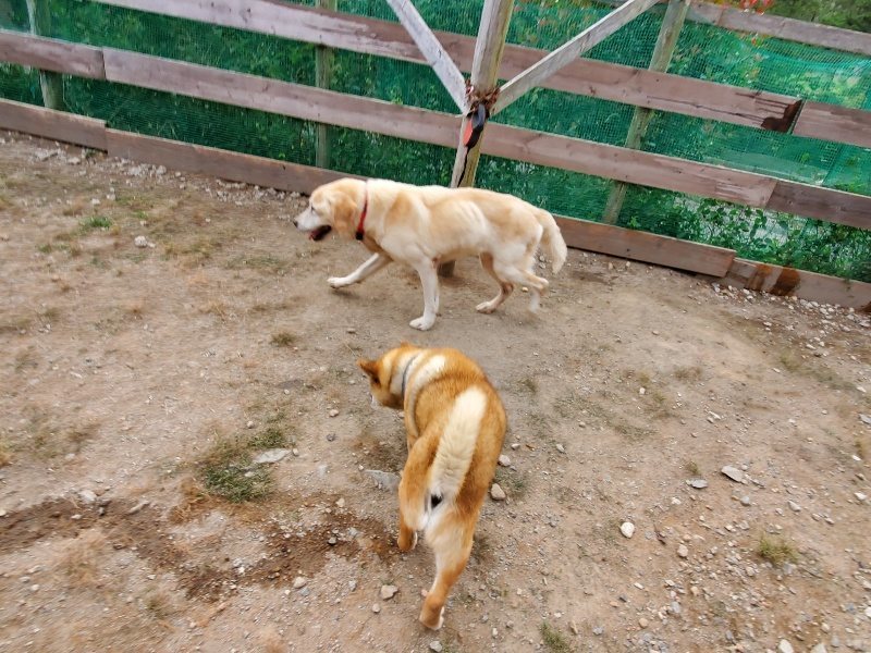 f:id:roukenhome-ann:20191007191617j:plain f:id:roukenhome-ann:20191007191617j:plain