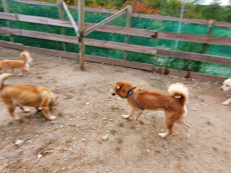 f:id:roukenhome-ann:20191007191651j:plain f:id:roukenhome-ann:20191007191651j:plain