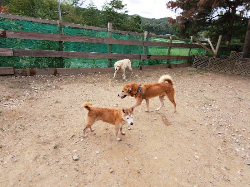 f:id:roukenhome-ann:20191007191659j:plain f:id:roukenhome-ann:20191007191659j:plain