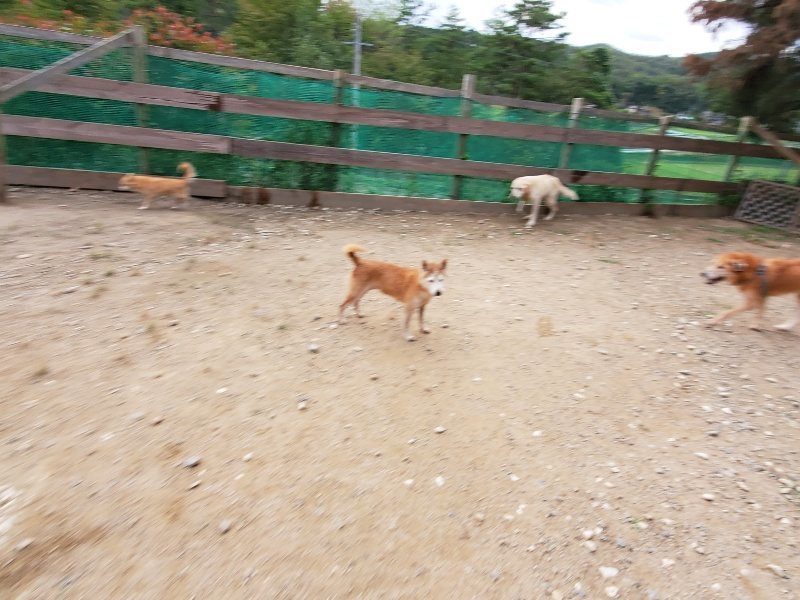 f:id:roukenhome-ann:20191007191706j:plain f:id:roukenhome-ann:20191007191706j:plain
