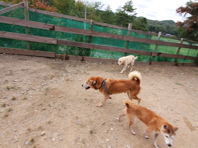f:id:roukenhome-ann:20191007191714j:plain f:id:roukenhome-ann:20191007191714j:plain