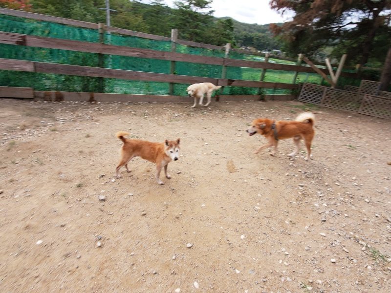 f:id:roukenhome-ann:20191007191725j:plain f:id:roukenhome-ann:20191007191725j:plain