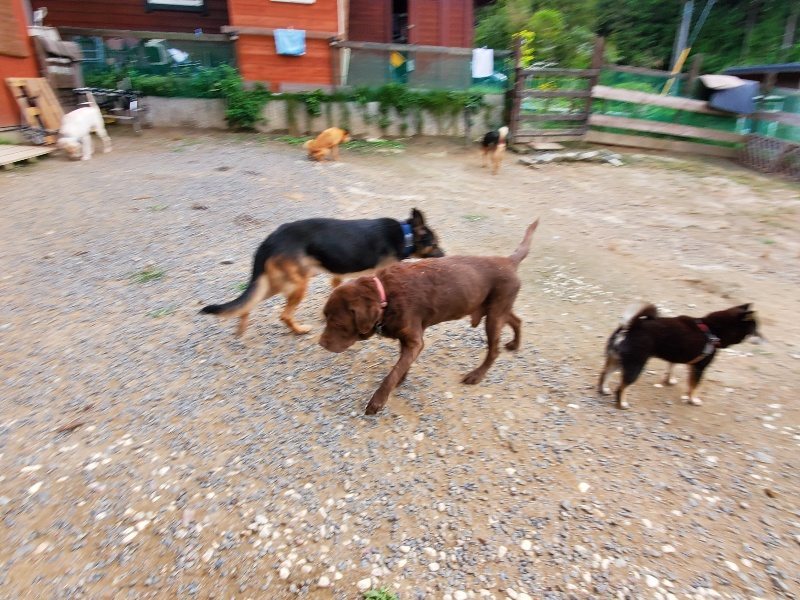 f:id:roukenhome-ann:20191007191746j:plain f:id:roukenhome-ann:20191007191746j:plain