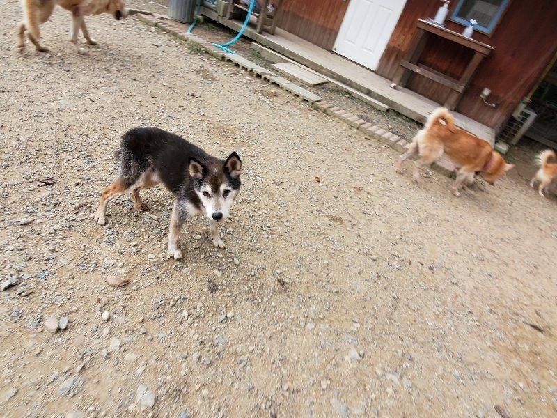 f:id:roukenhome-ann:20191007193917j:plain f:id:roukenhome-ann:20191007193917j:plain