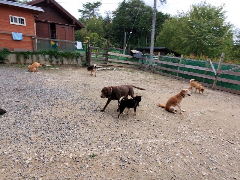 f:id:roukenhome-ann:20191007193952j:plain f:id:roukenhome-ann:20191007193952j:plain