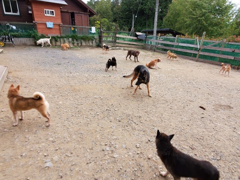 f:id:roukenhome-ann:20191007193959j:plain f:id:roukenhome-ann:20191007193959j:plain