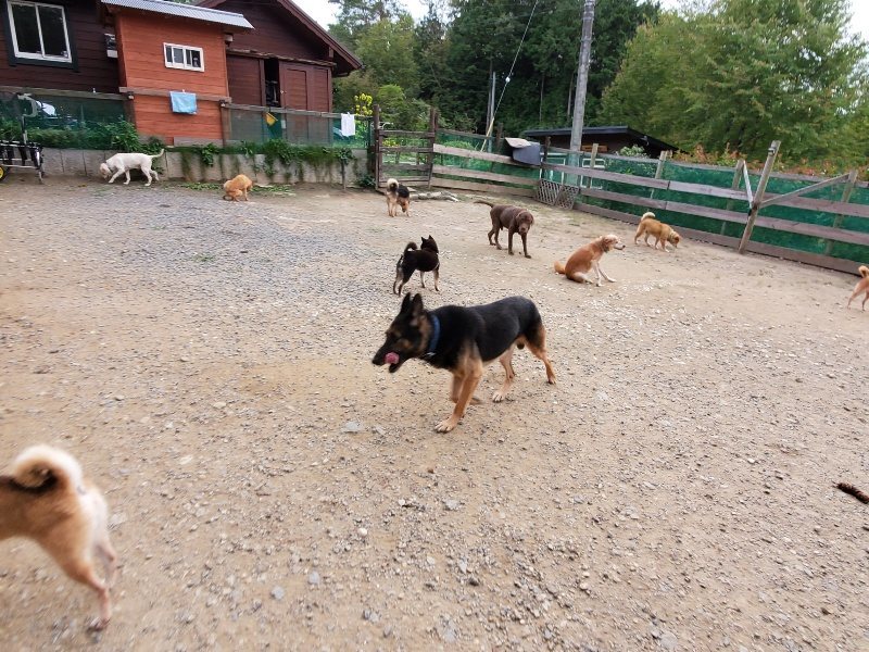 f:id:roukenhome-ann:20191007194005j:plain f:id:roukenhome-ann:20191007194005j:plain