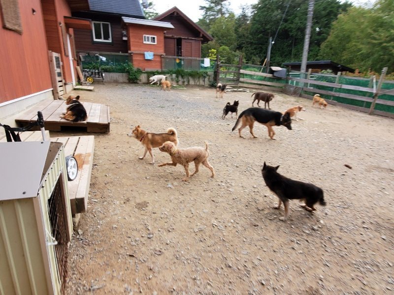 f:id:roukenhome-ann:20191007194015j:plain f:id:roukenhome-ann:20191007194015j:plain