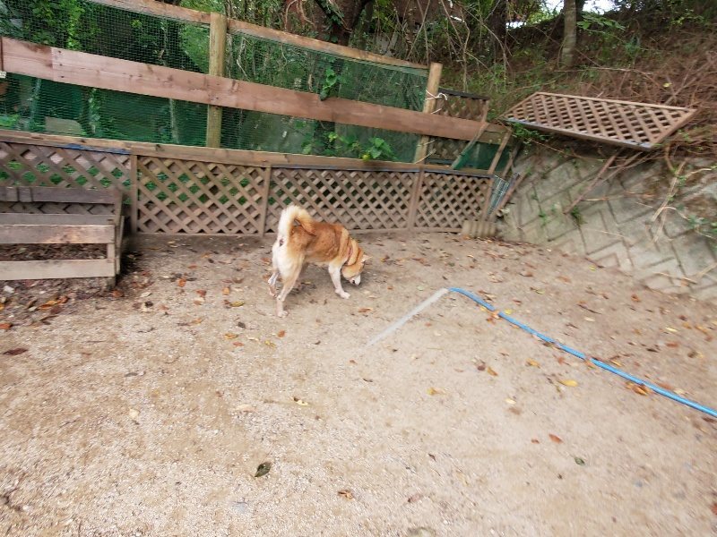 f:id:roukenhome-ann:20191007194023j:plain f:id:roukenhome-ann:20191007194023j:plain