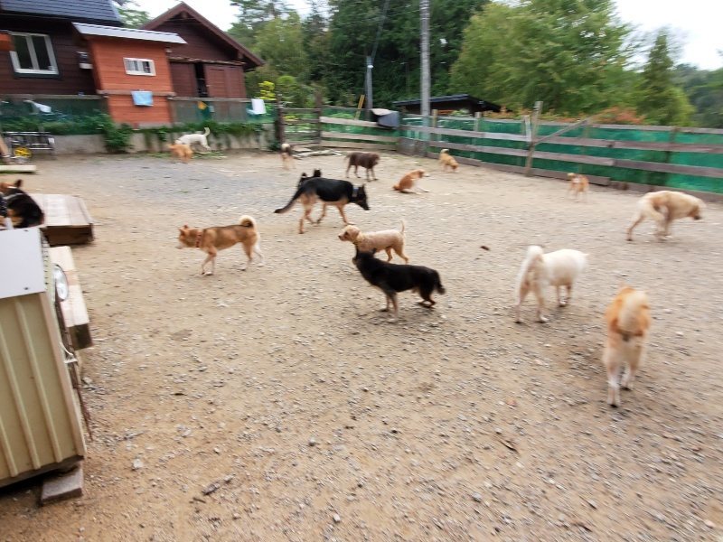 f:id:roukenhome-ann:20191007194029j:plain f:id:roukenhome-ann:20191007194029j:plain
